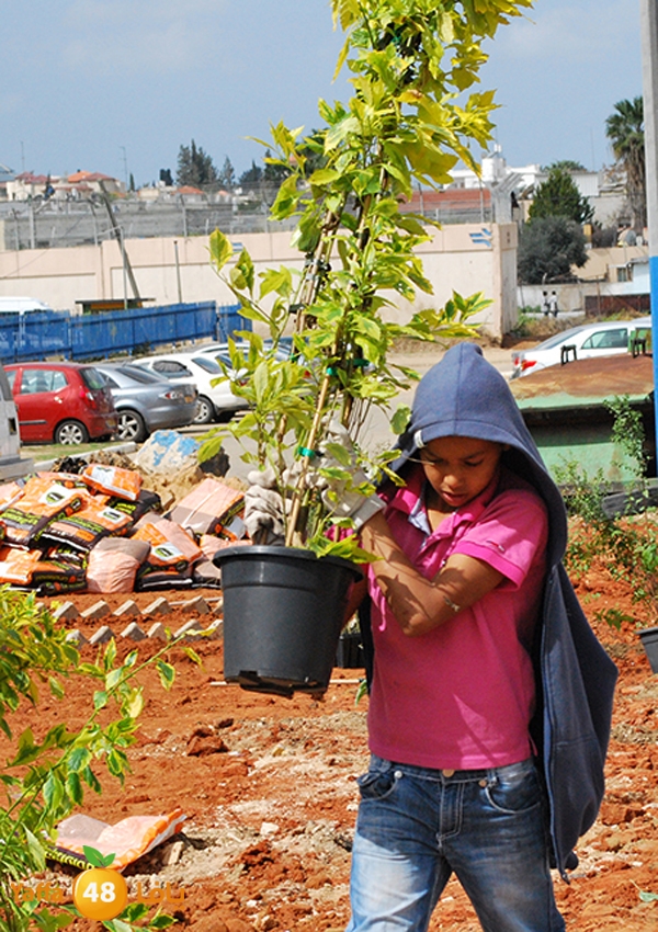 a3malteybeortlud (47).jpg